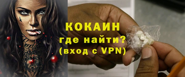 шишки Майский
