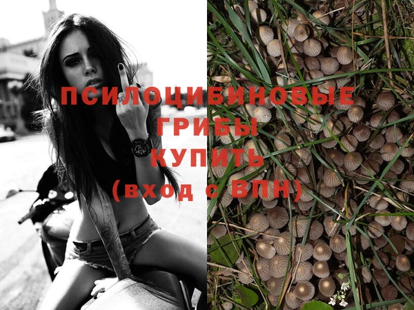 шишки Майский