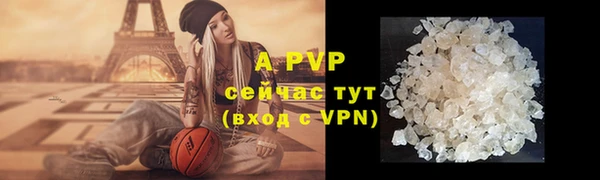 шишки Майский
