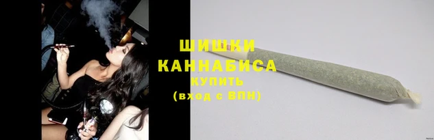 шишки Майский