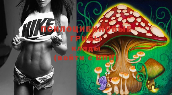PSILOCYBIN Магадан