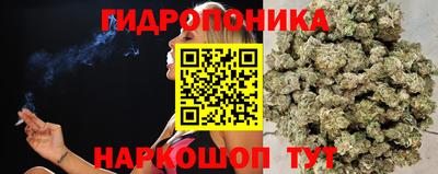 кокс Заводоуковск