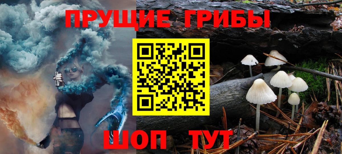 Галлюциногенные грибы MAGIC MUSHROOMS  Вход с VPN  наркота  Нижний Тагил  Псилоцибиновые грибы Magic Shrooms 