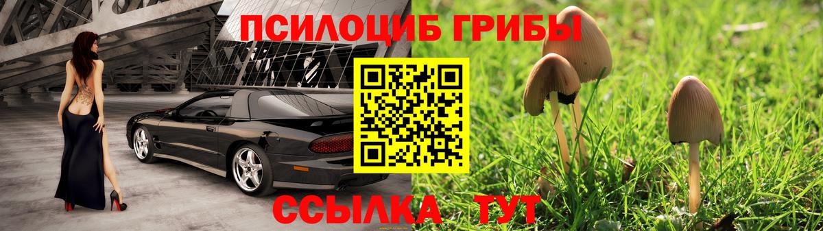 Галлюциногенные грибы Psilocybe Нижний Тагил