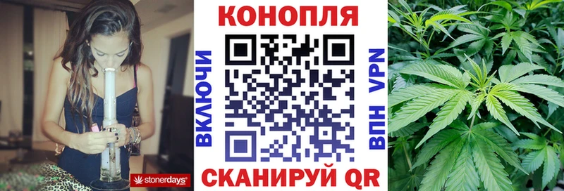 Бошки марихуана Amnesia  МЕГА онион  Нижний Тагил 